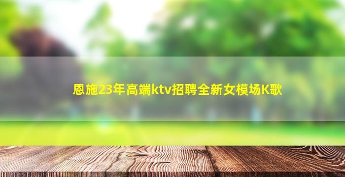 恩施23年高端ktv招聘全新女模场K歌